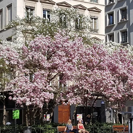 Les Du 99 Lyon
